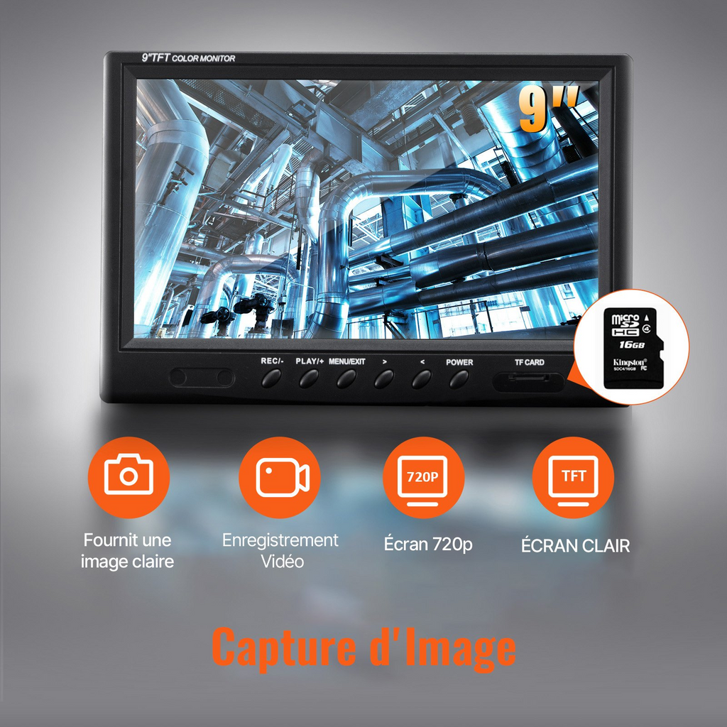 80238881