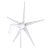 81174858